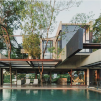 Forest mushrooms. Macadamia Nuts